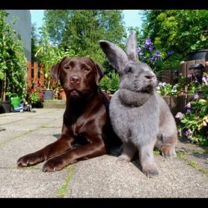 Meet your Posher, Paula